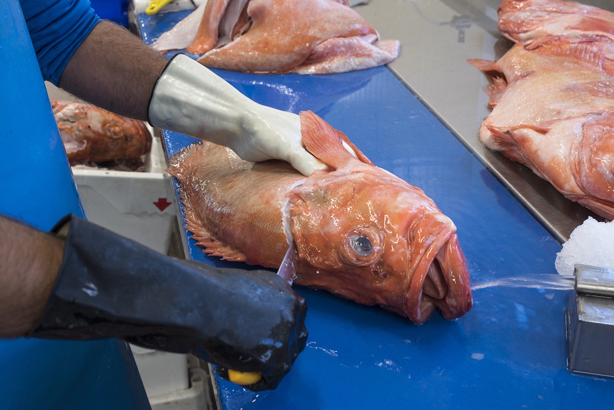 Urker visbedrijf rondt tweede overname in vijf jaar af